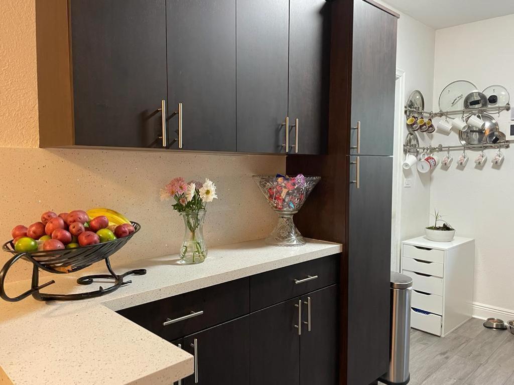 Brazilian Home Coral Gables Extérieur photo