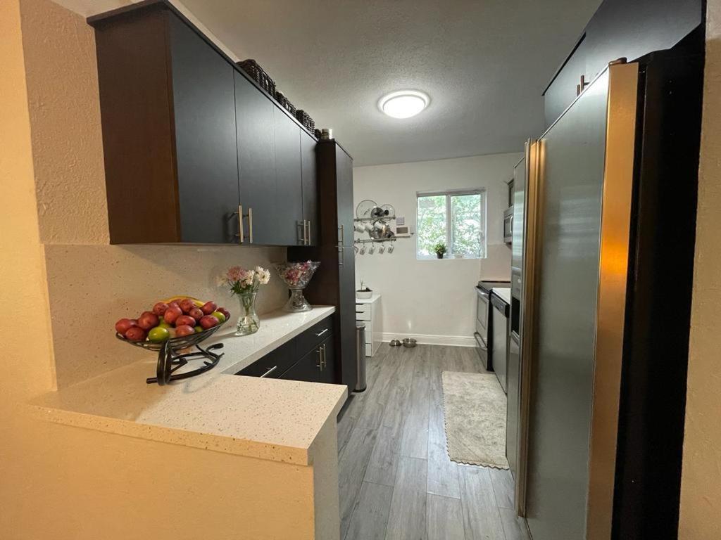 Brazilian Home Coral Gables Extérieur photo